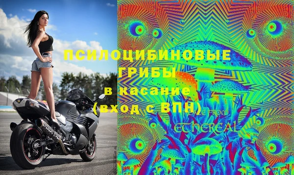 твердый Беломорск