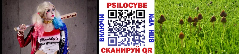 Псилоцибиновые грибы MAGIC MUSHROOMS Балабаново