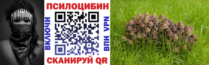 Галлюциногенные грибы Magic Shrooms  darknet как зайти  Балабаново 